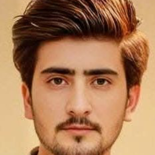 Donald  L. profile photo
