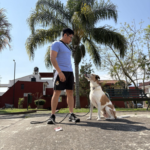 Tony S. profile photo