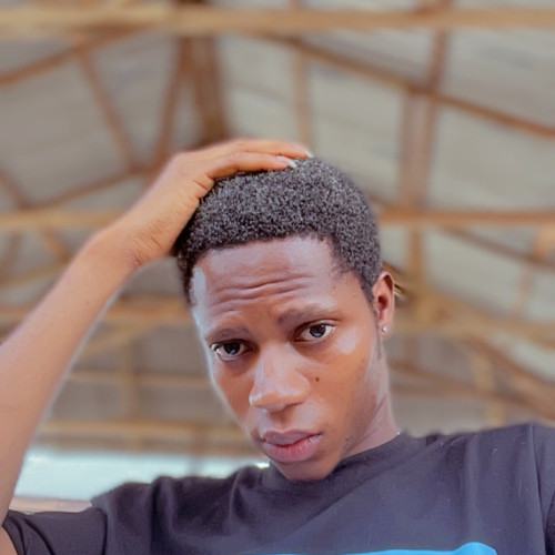 kingsley N. profile photo