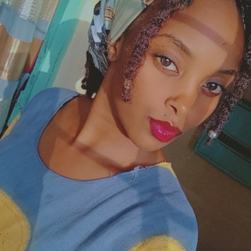 Sheba T.