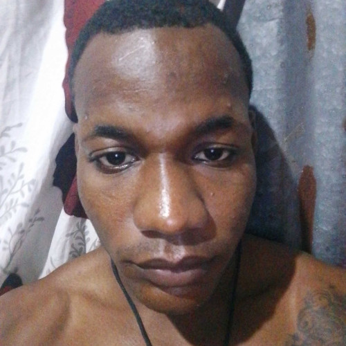 Damian p. profile photo