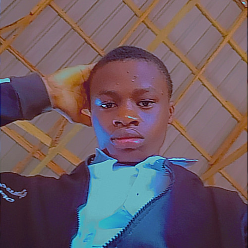 Success  I. profile photo