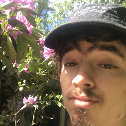 Nick S. profile photo