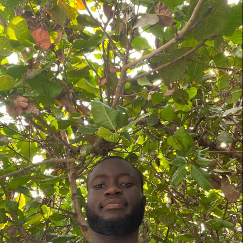 Abdulkareem M.