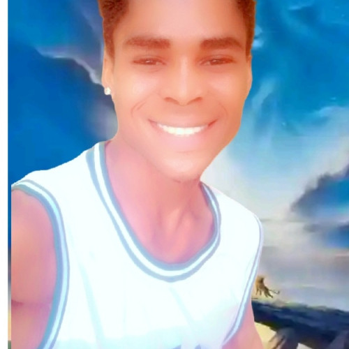 David B. profile photo