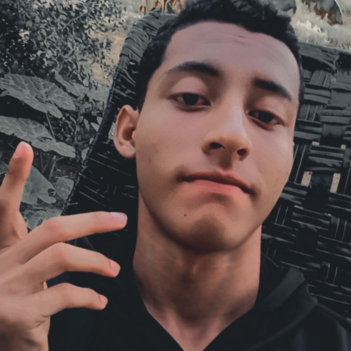 Damian M. profile photo