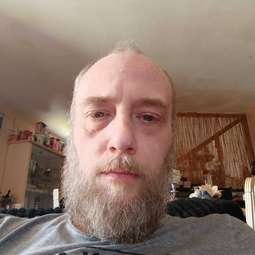 David v. profile photo