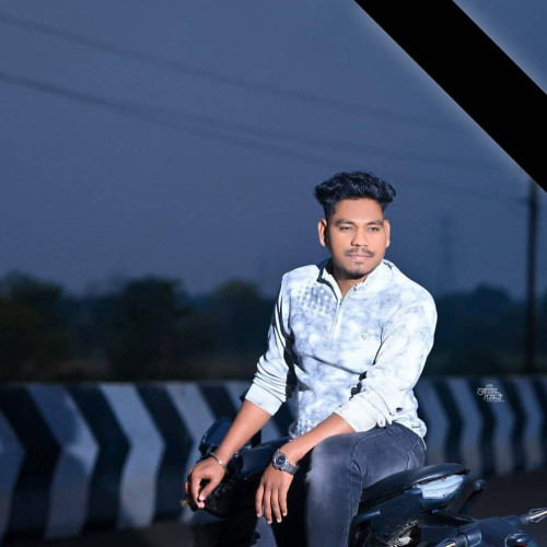 Shekhar V. profile photo