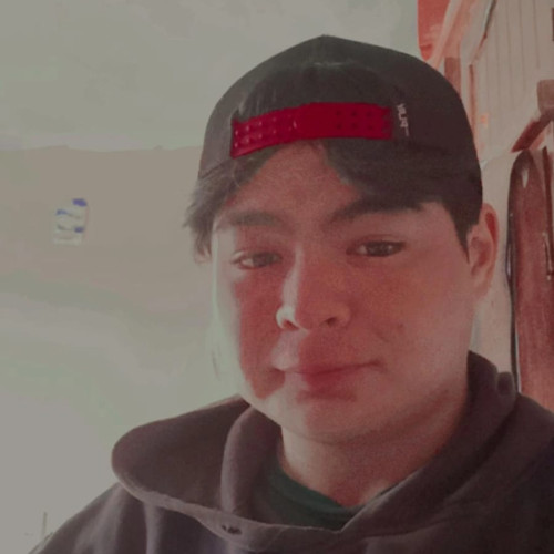 Daniel D. profile photo
