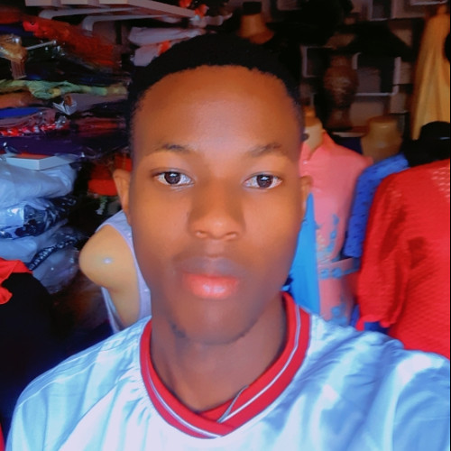 elvis N. profile photo