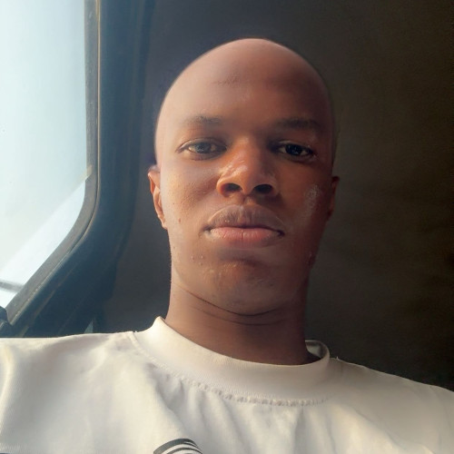 Okunola  D. profile photo