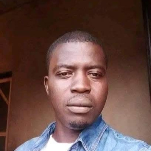 Ayibiowu  A. profile photo