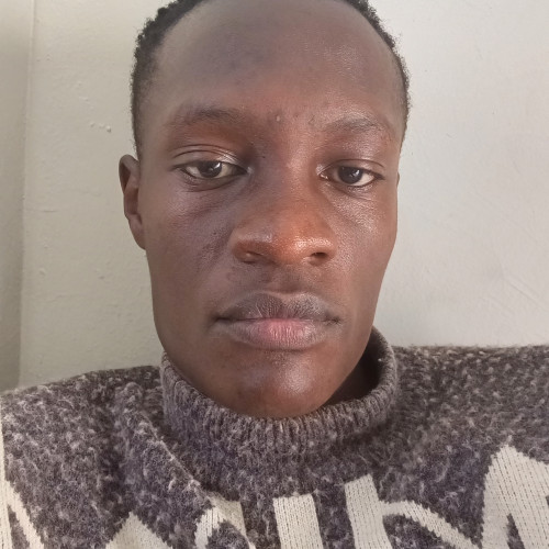 Piera W. profile photo