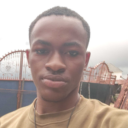 Okoro D. profile photo