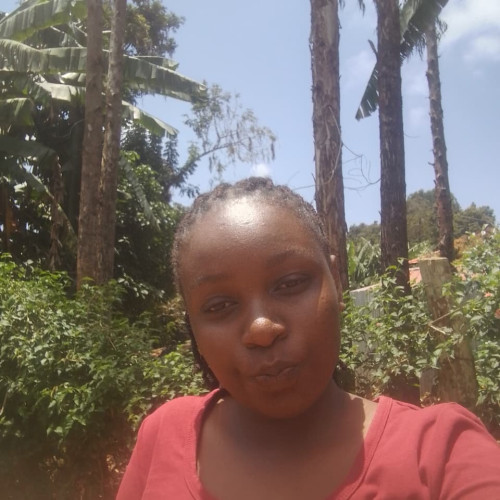 Doreen M. profile photo