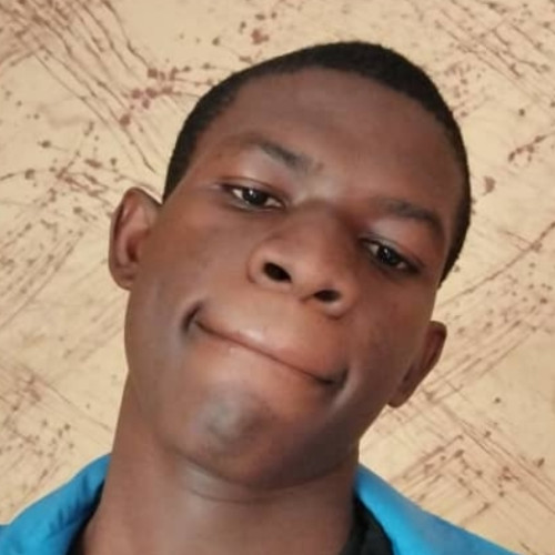 Vincent  A. profile photo