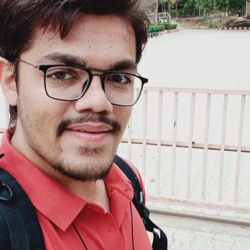 Meet  P. profile photo