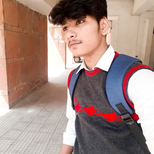 Ronit S.