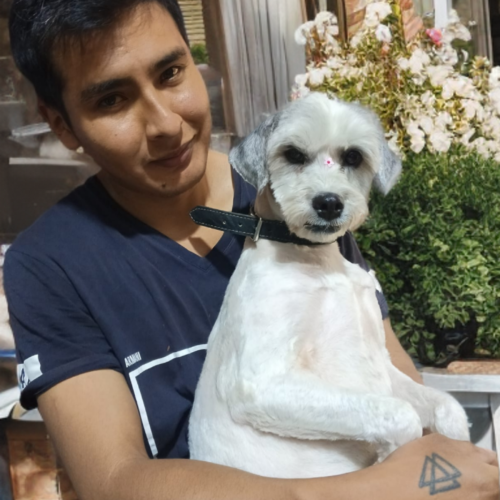 Jose s. profile photo