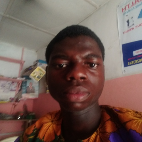 Lamidi K. profile photo