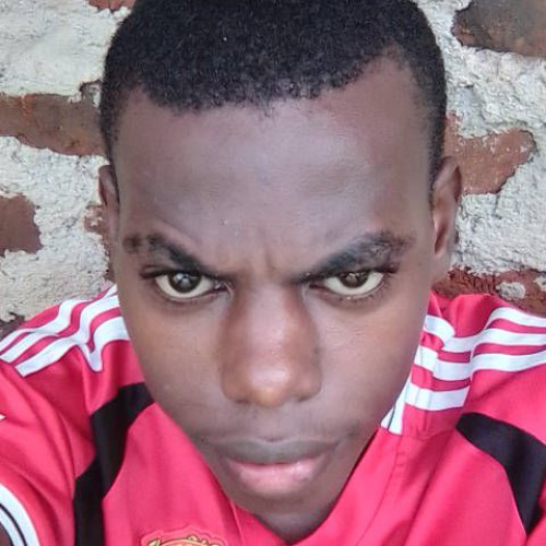 Erick  M. profile photo