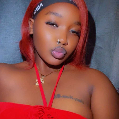Noel K. profile photo