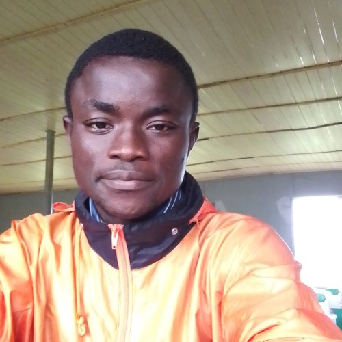 Owoseni  O.