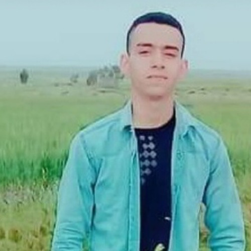 Amin G. profile photo