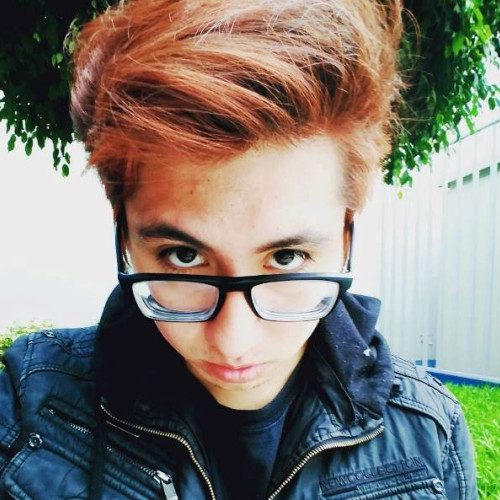 Marco P. profile photo