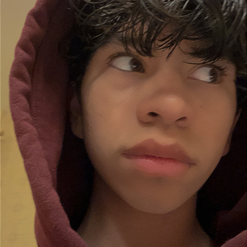 Zachary N. profile photo