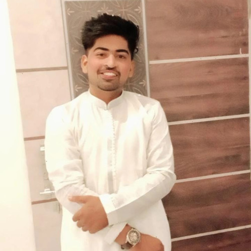 Ayush V. profile photo