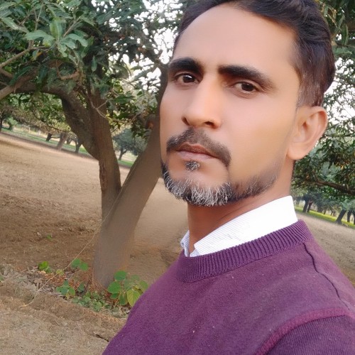 Mohd  J.