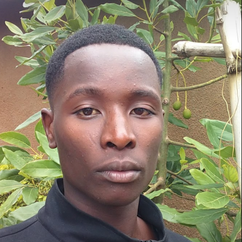 Loyd L. profile photo
