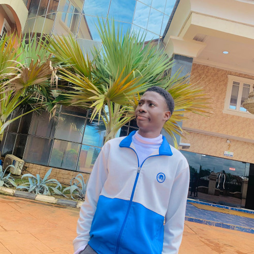 Godswill  E. profile photo