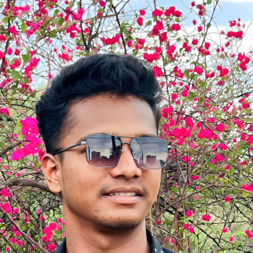Rushikesh D. profile photo