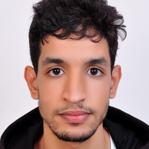 Ayoub M.