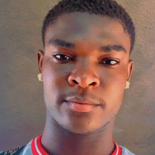 Taiwo A. profile photo