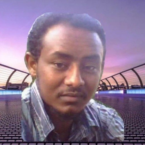 kebede T. profile photo