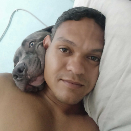 Alex S. profile photo