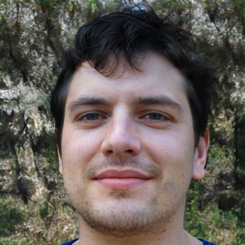 William P. profile photo