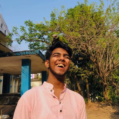 Mubashirul  A.