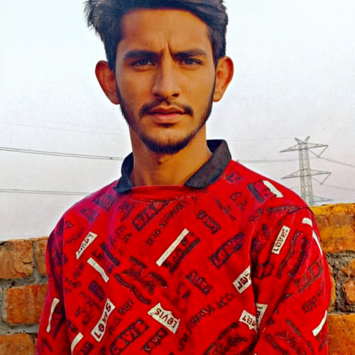 Ali  F. profile photo