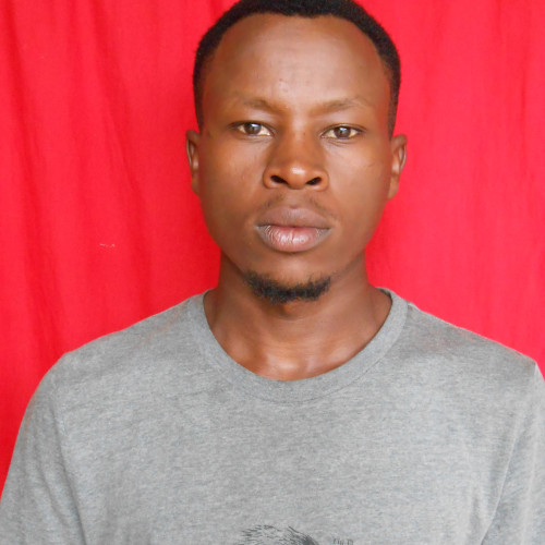 daniel k. profile photo