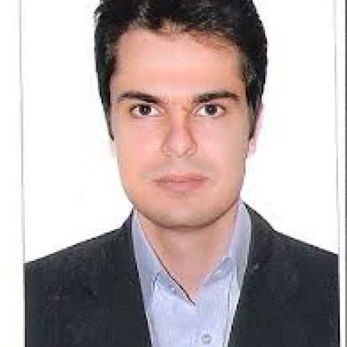 hamid z. profile photo
