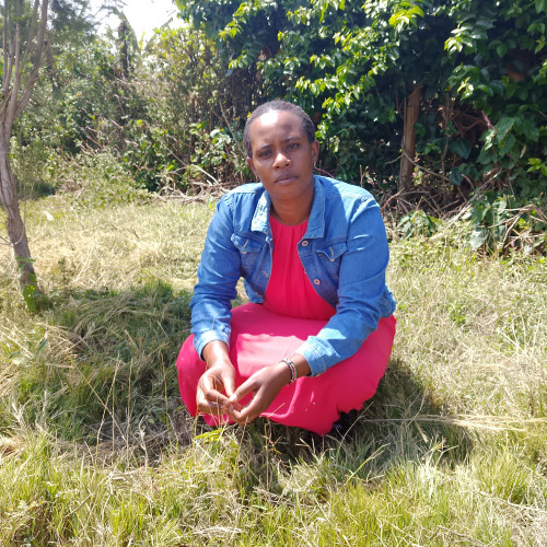 Hannah N. profile photo