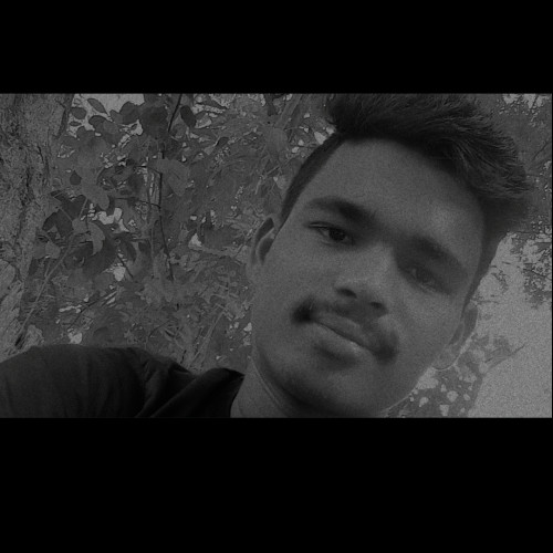 Mani M. profile photo