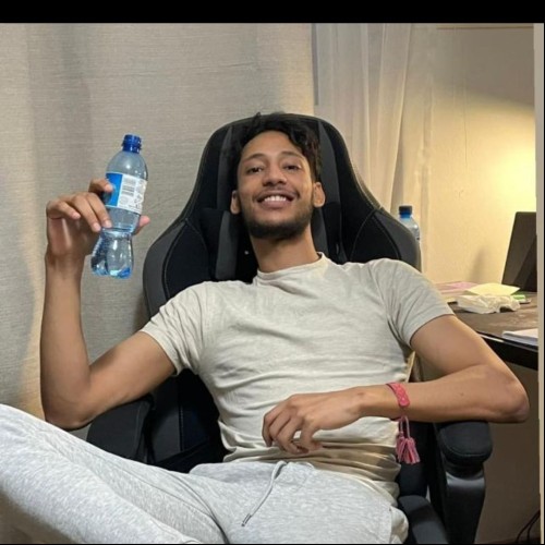 MOHAMED EL AMINE  M. profile photo