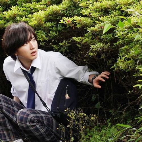 Lee L. profile photo