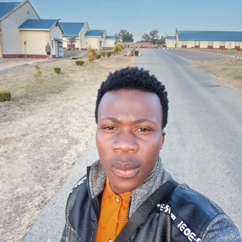 Tinotendaishe  M.