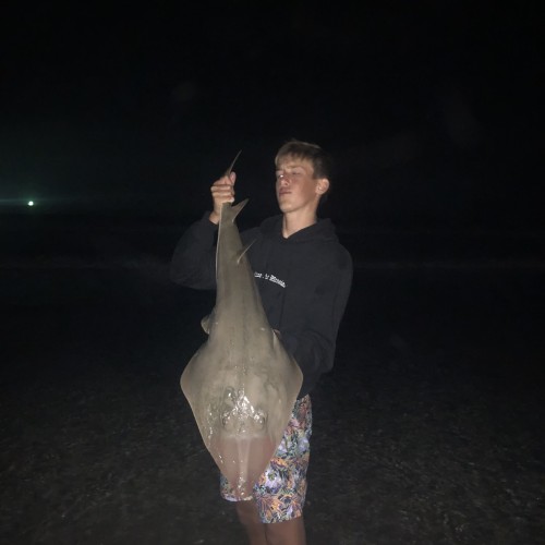 Nicholas  S. profile photo